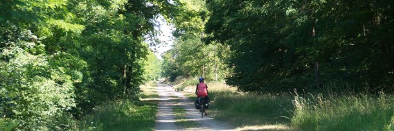 Fietsvakantie Bazel - Wezep