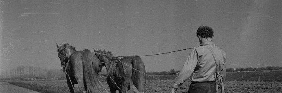 Uitslag Ploegt met paard