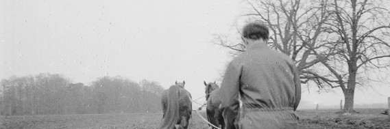 Uitslag Ploegt met paard