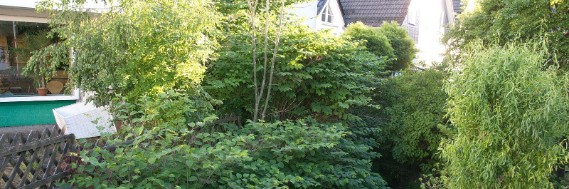 Vakantie Siedlinghausen