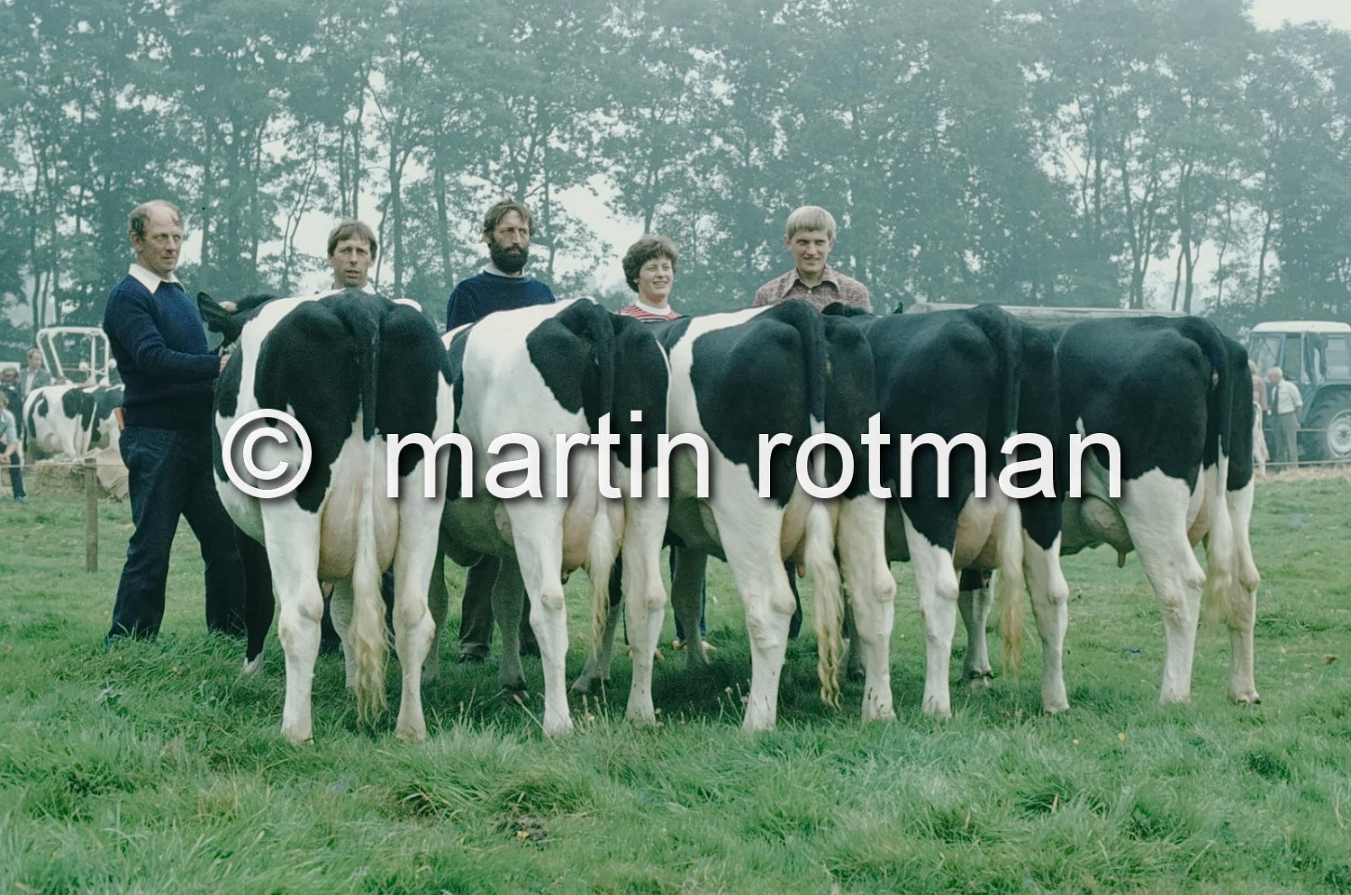 Rundveekeuring