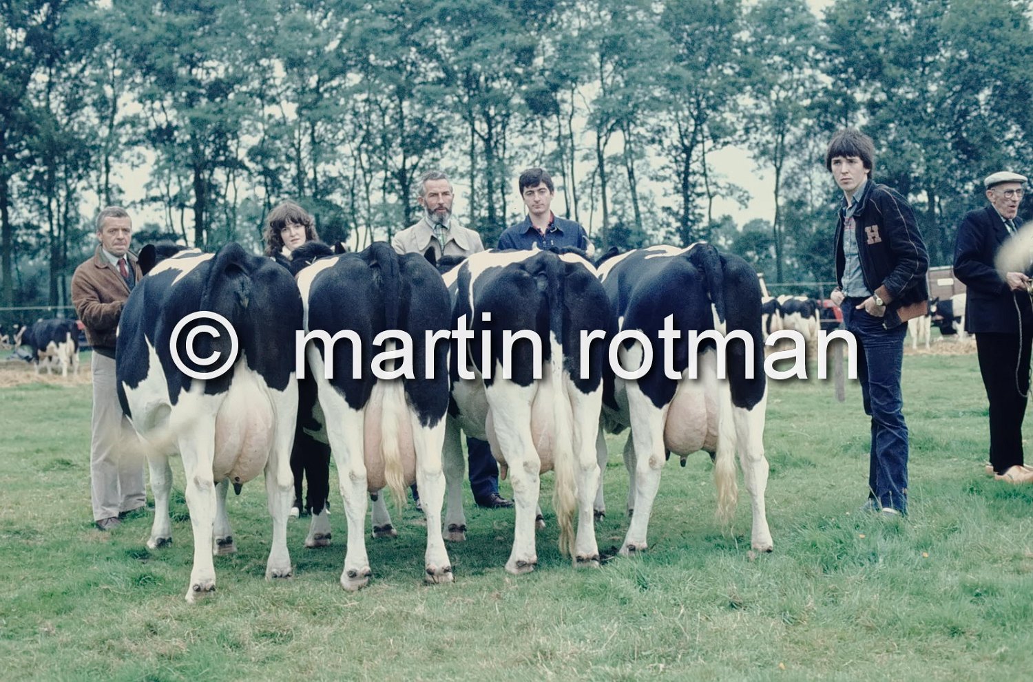 Rundveekeuring