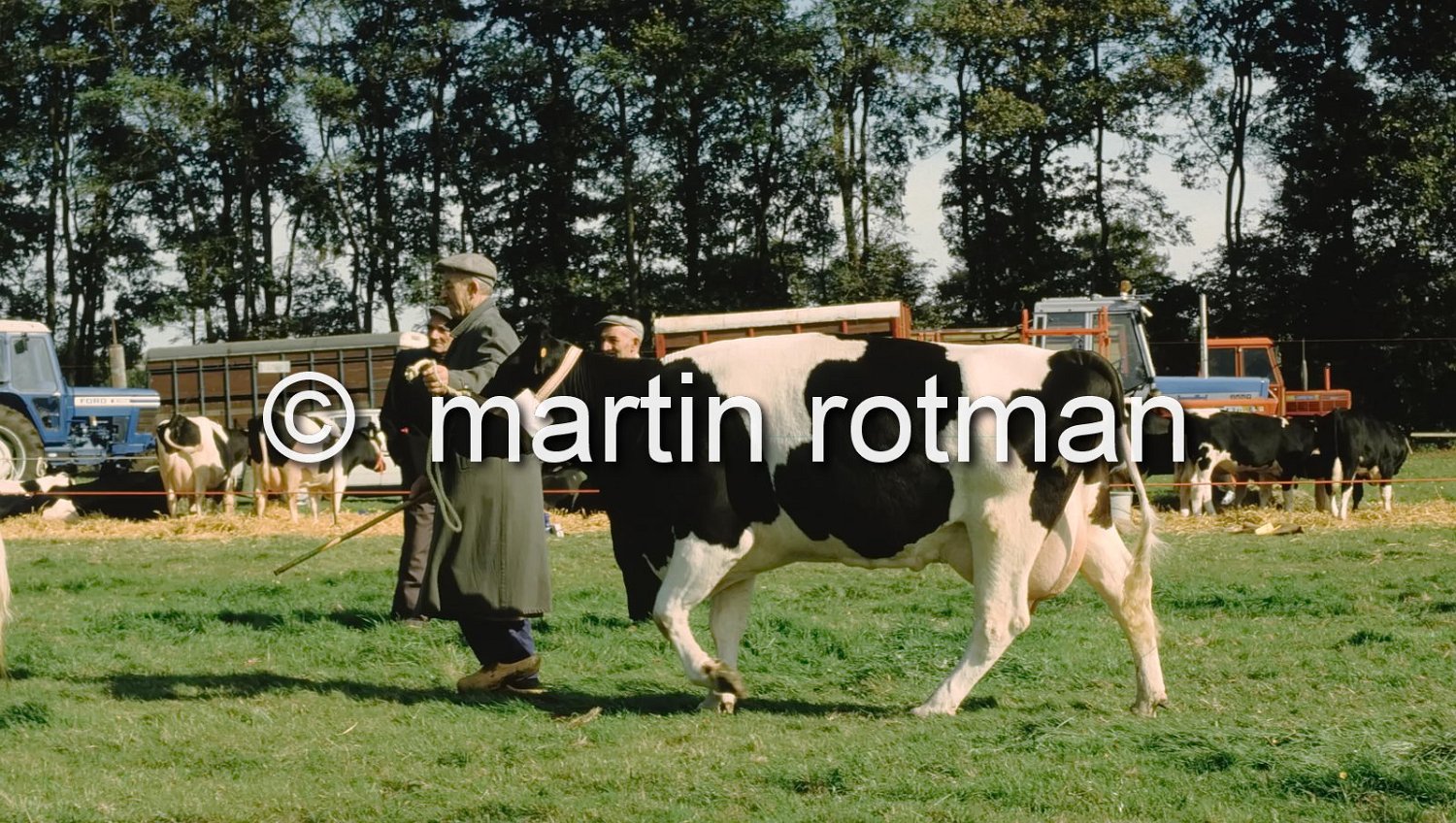 Fokveedag_096